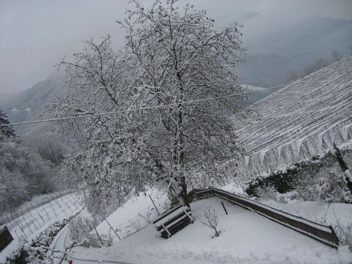 Engadinerhof Villa Montagna Bagian luar foto